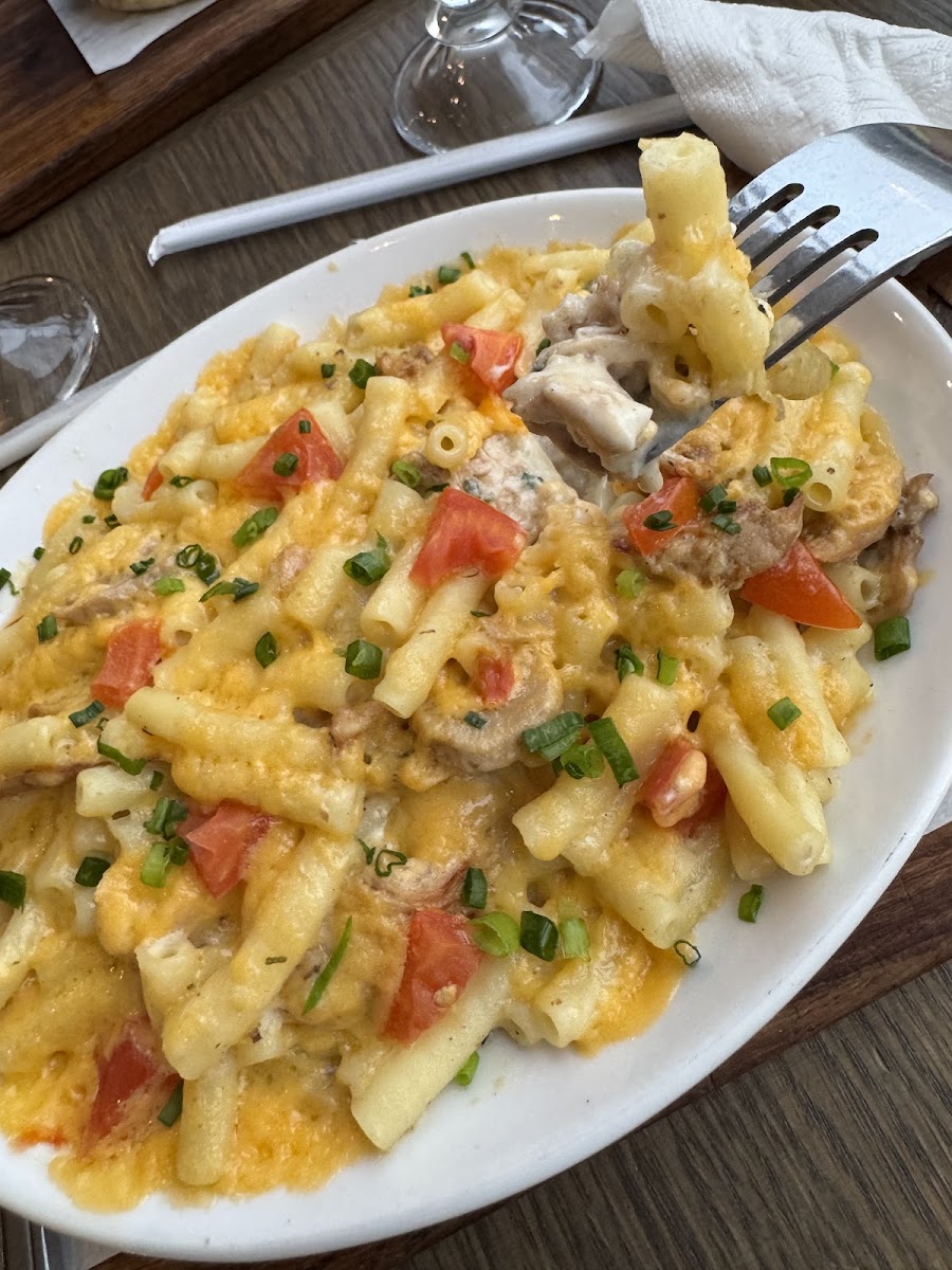 Mugg & Bean On The Move-10